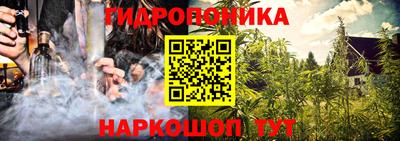 гашик Гагарин
