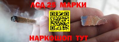 mdma Гатчина