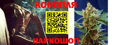 mdma Гатчина
