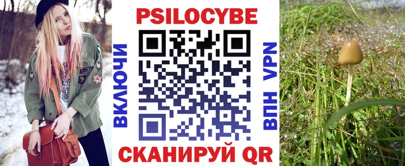 Галлюциногенные грибы прущие грибы купить закладку Ногинск